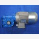 Carpanelli / STM 10:1 gear motor, 25 mm sh
